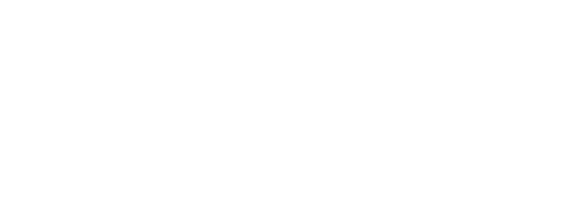 Logo Data Guide