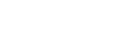 Logo Intexfy